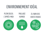 Environnement idéal archonto