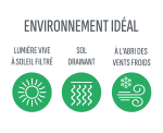 Environnement idéal