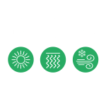 environnement ideal srelitzia reginae